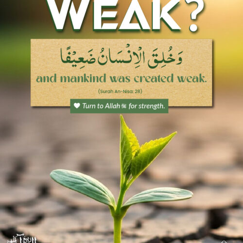 Feeling Weak?
