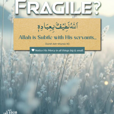 Fragile?