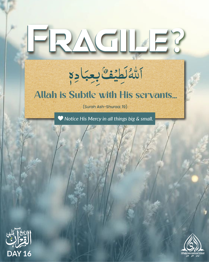 Day 16 - Feeling Fragile