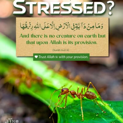 Financially Stressed?