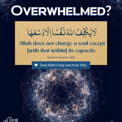 Overwhelmed?