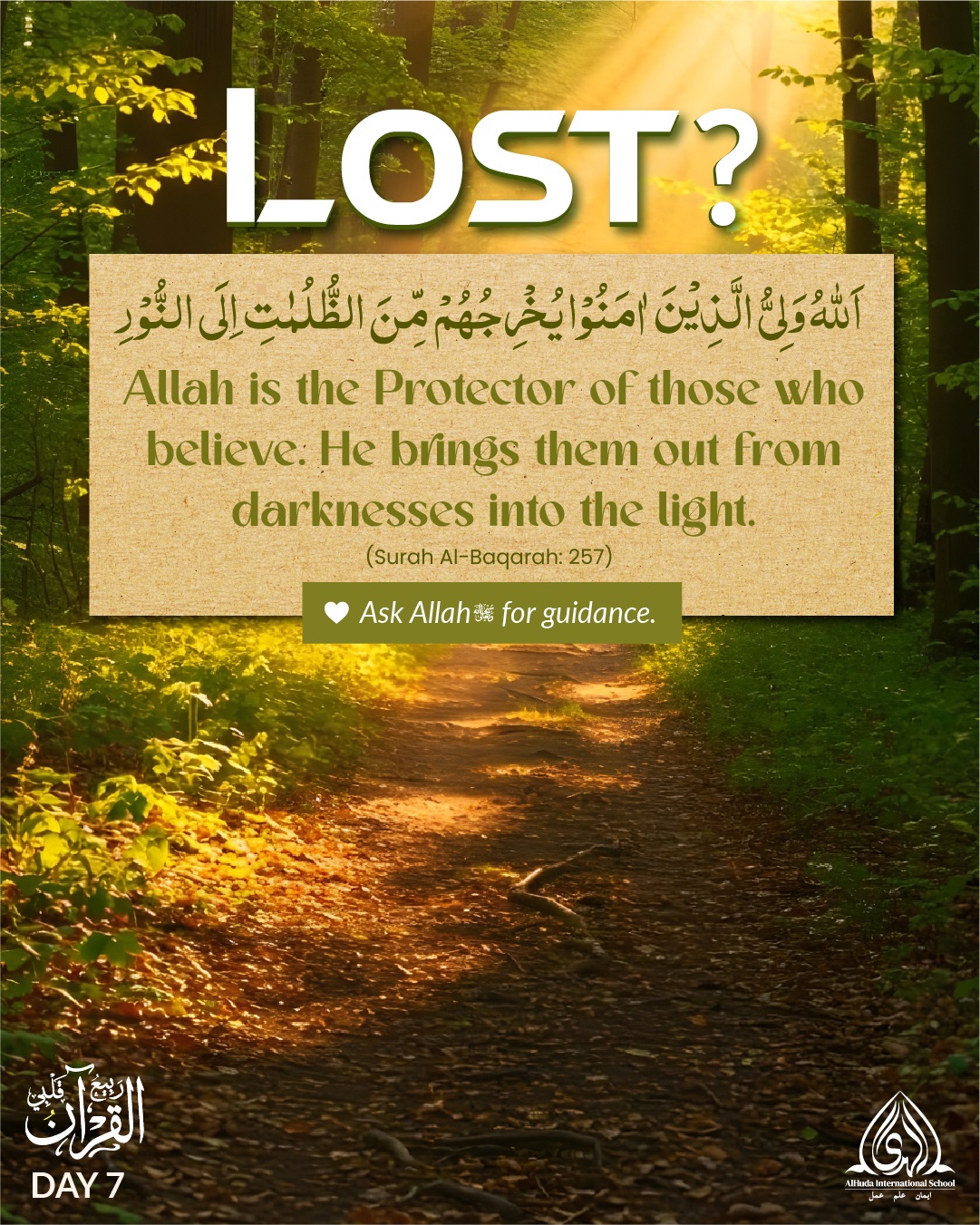 Day 7 - Feeling Lost