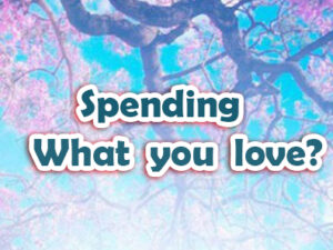 Spending What You LOVE